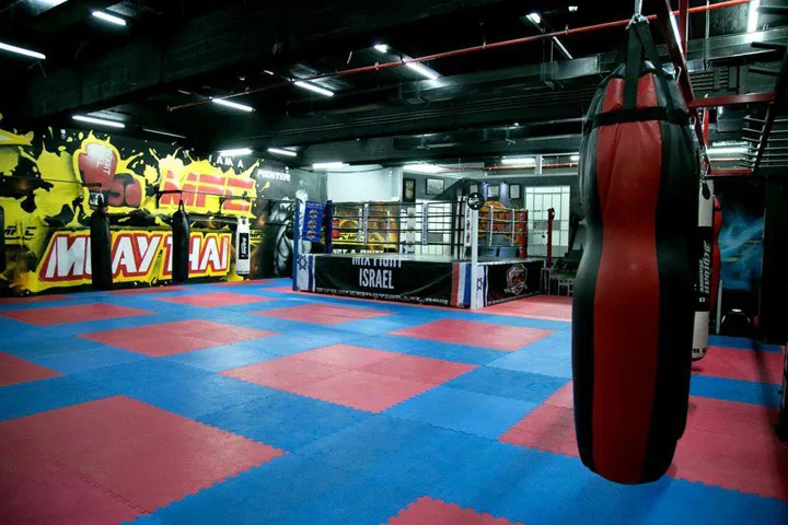 MixFight · interior murals