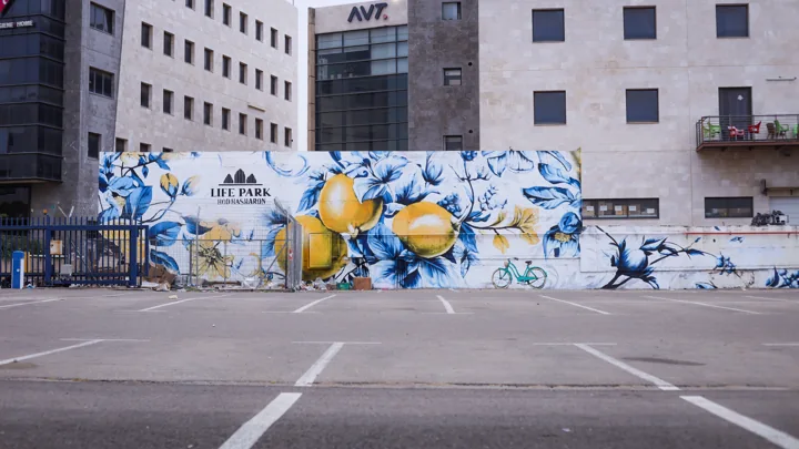 Lemons · Hod HaSharon