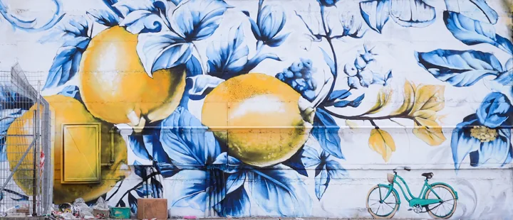 Lemons · Hod HaSharon · Photograph 2