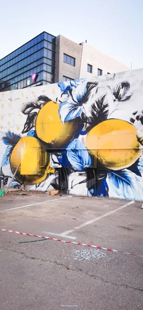Lemons · Hod HaSharon · Photograph 3