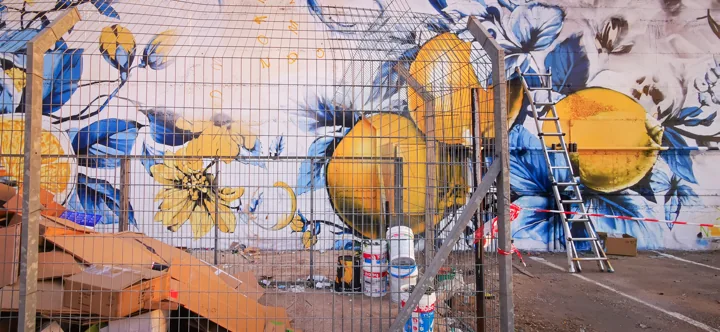 Lemons · Hod HaSharon · Photograph 4