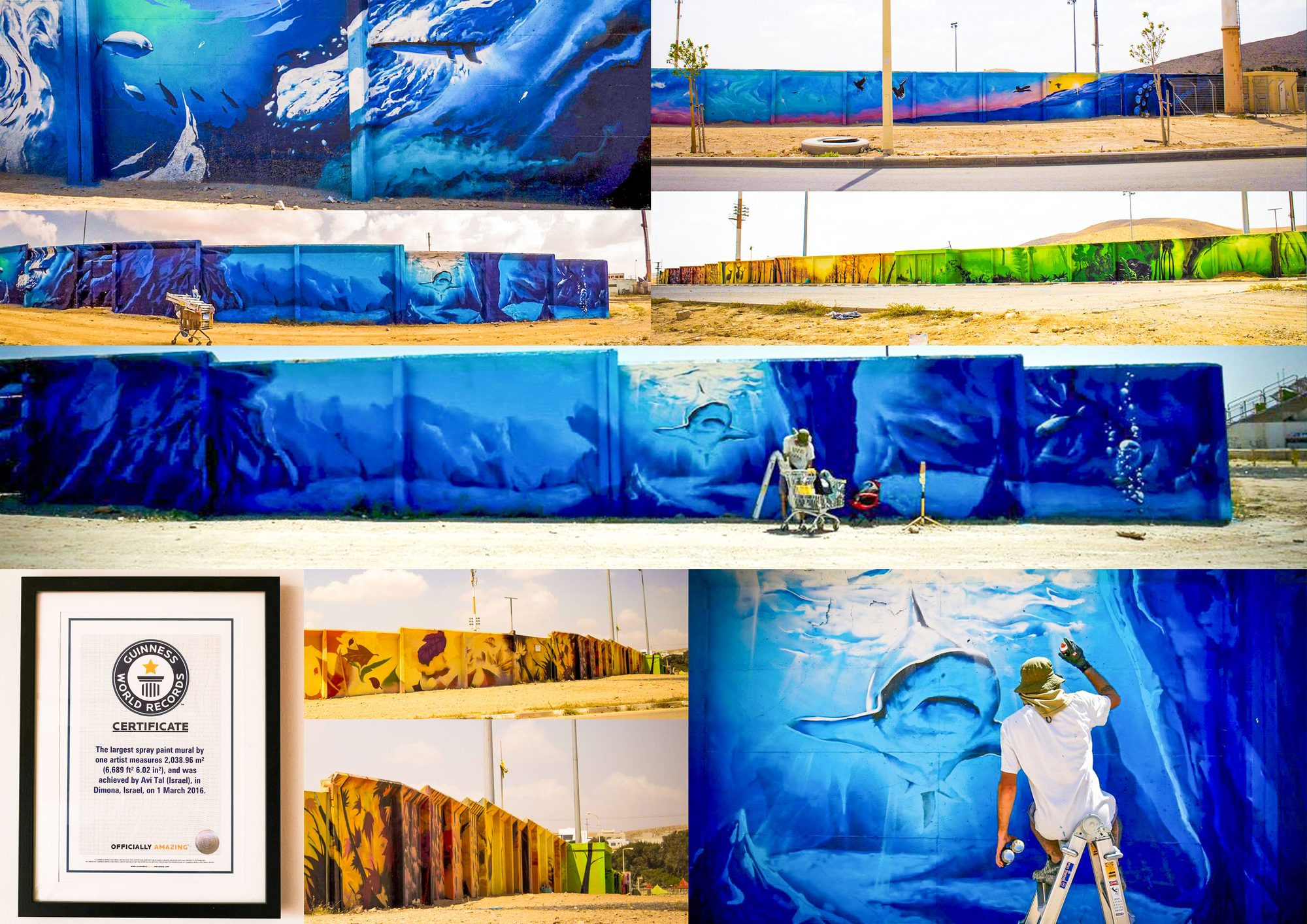Dimona Stadium — Guinness World Record mural, 21,947 sq ft, painted by one artist